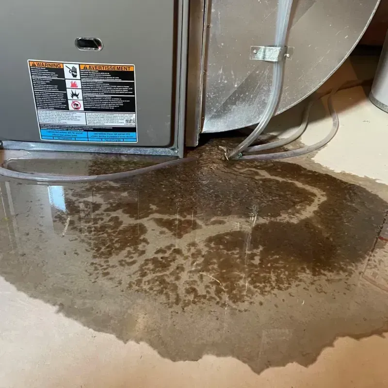 Appliance Leak Cleanup in Lackawanna, NY